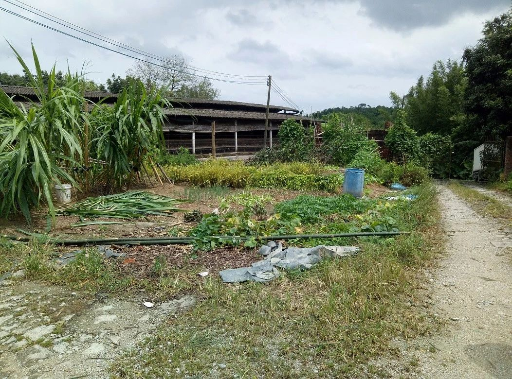 【物业整租】钟落潭农业用地招商（预通告）_企业动态_澳门永利皇宫官网入口官网 - Powered by 广州广府通讯息科技有限公司