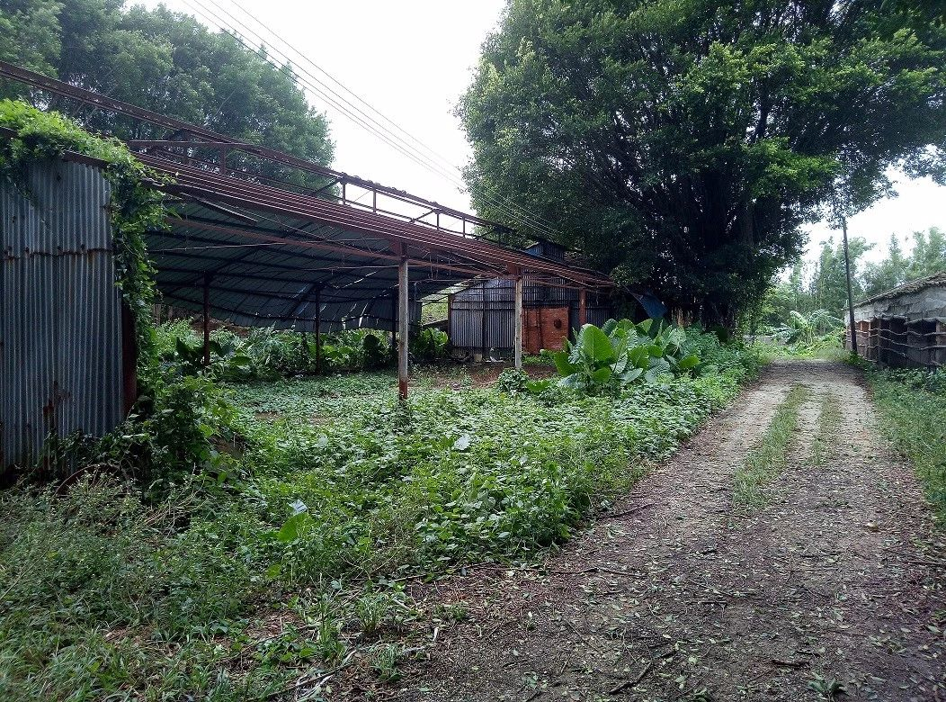 【物业整租】钟落潭农业用地招商（预通告）_企业动态_澳门永利皇宫官网入口官网 - Powered by 广州广府通讯息科技有限公司