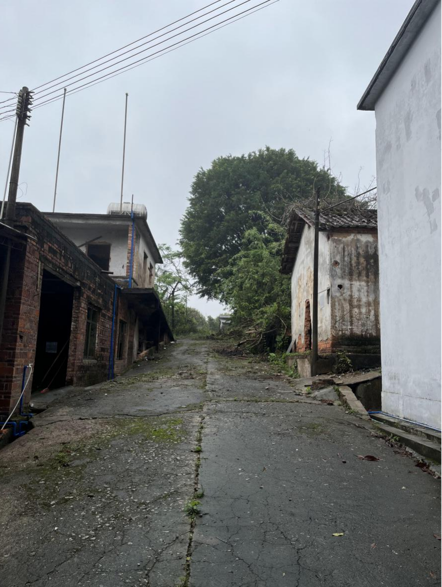 【农用地出租】白云区钟落潭公社马洞新陂村第五生产队地段地块_企业动态_澳门永利皇宫官网入口官网 - Powered by 广州广府通讯息科技有限公司